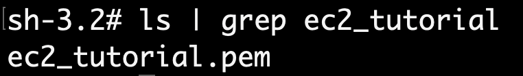 screenshot of  command in aws terminal for SSH key