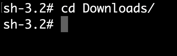 screenshot of  command in aws terminal
