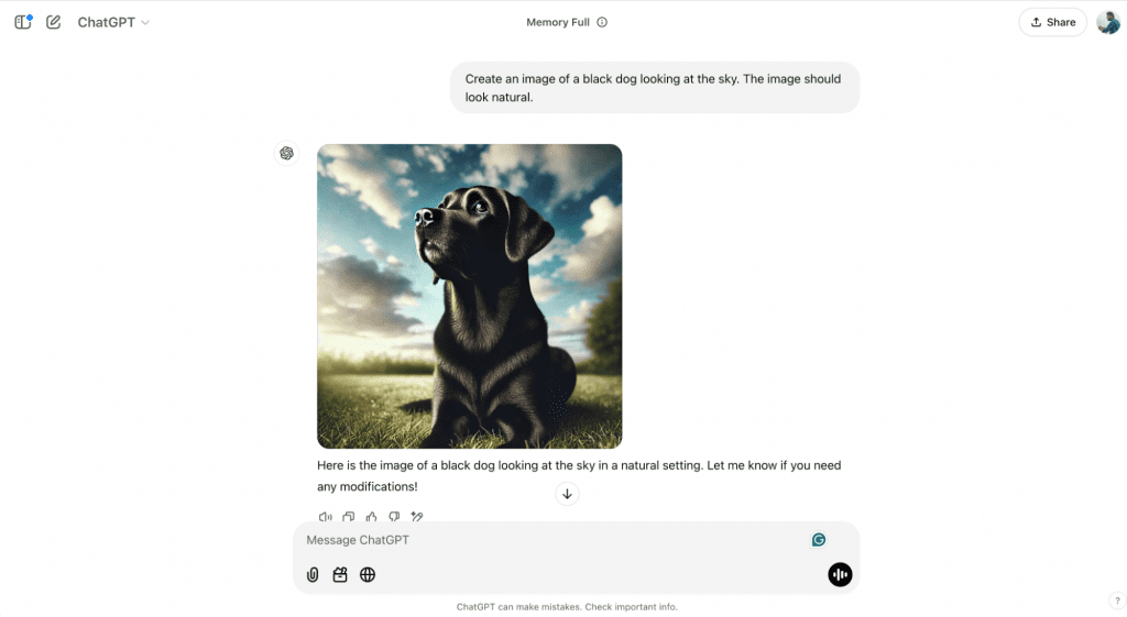 screenshot of prompt of chatgpt Create an image of a black dog looking at the sky. The image should look natural.