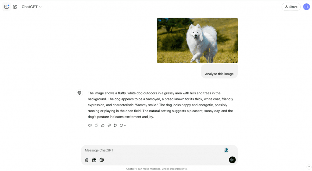 screenshot of prompt of chatGPT
analyse this image