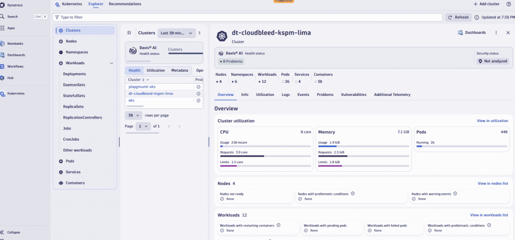 screenshot of  Dynatrace AI observability details of that cluster of 