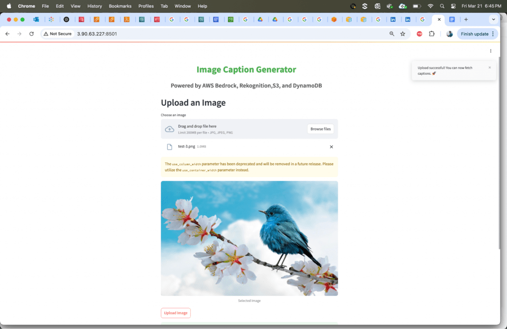 screen shot of Streamlit web application using the following command