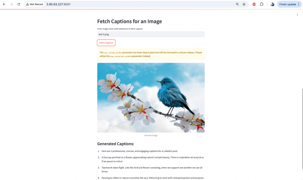 screen shot of Streamlit web application using the following command
